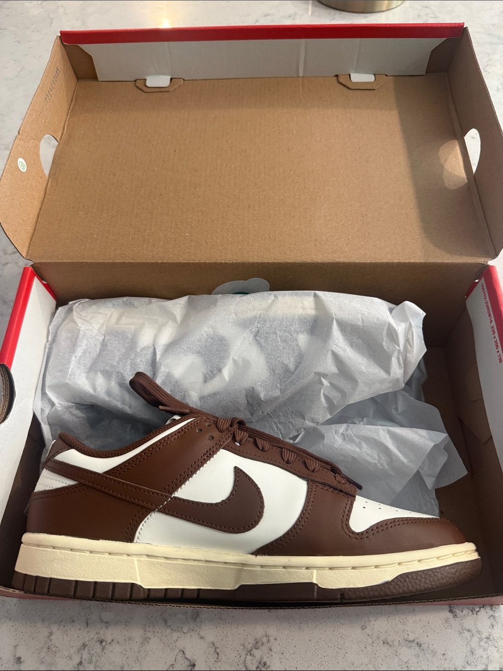 Nike Women’s Dunk Low Brown and White